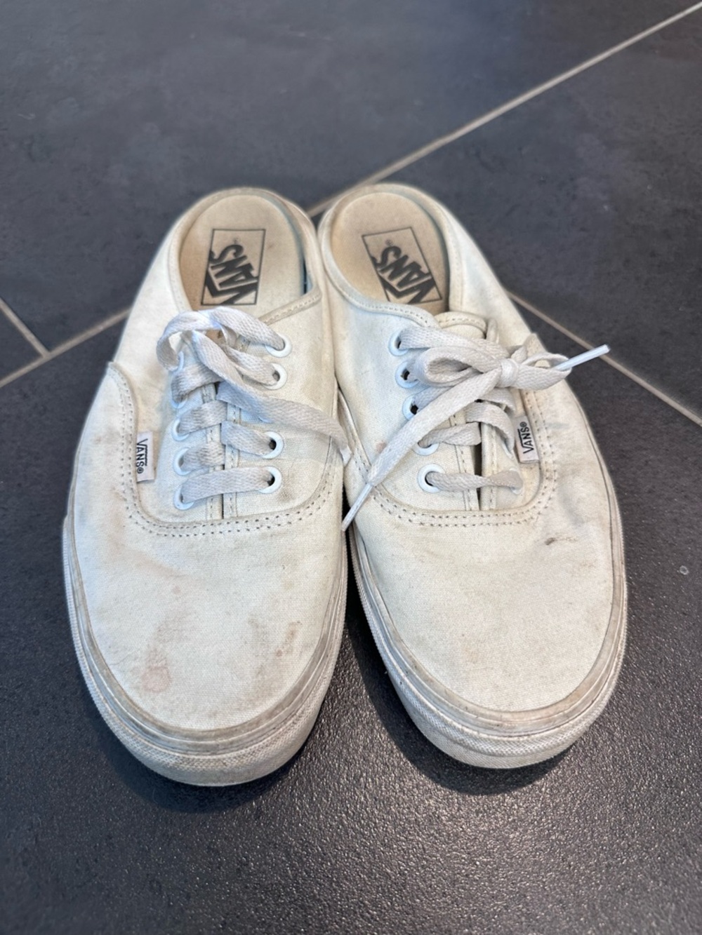 Vans Slip Ons Authentic Canvas Sneakers — White